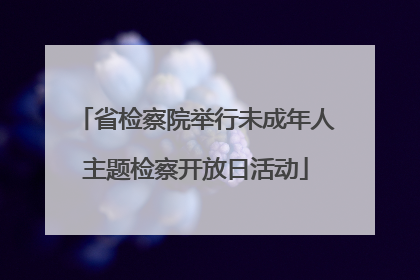 省检察院举行未成年人主题检察开放日活动